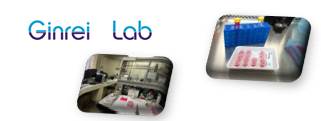 Image of About Ginreilab Inc.